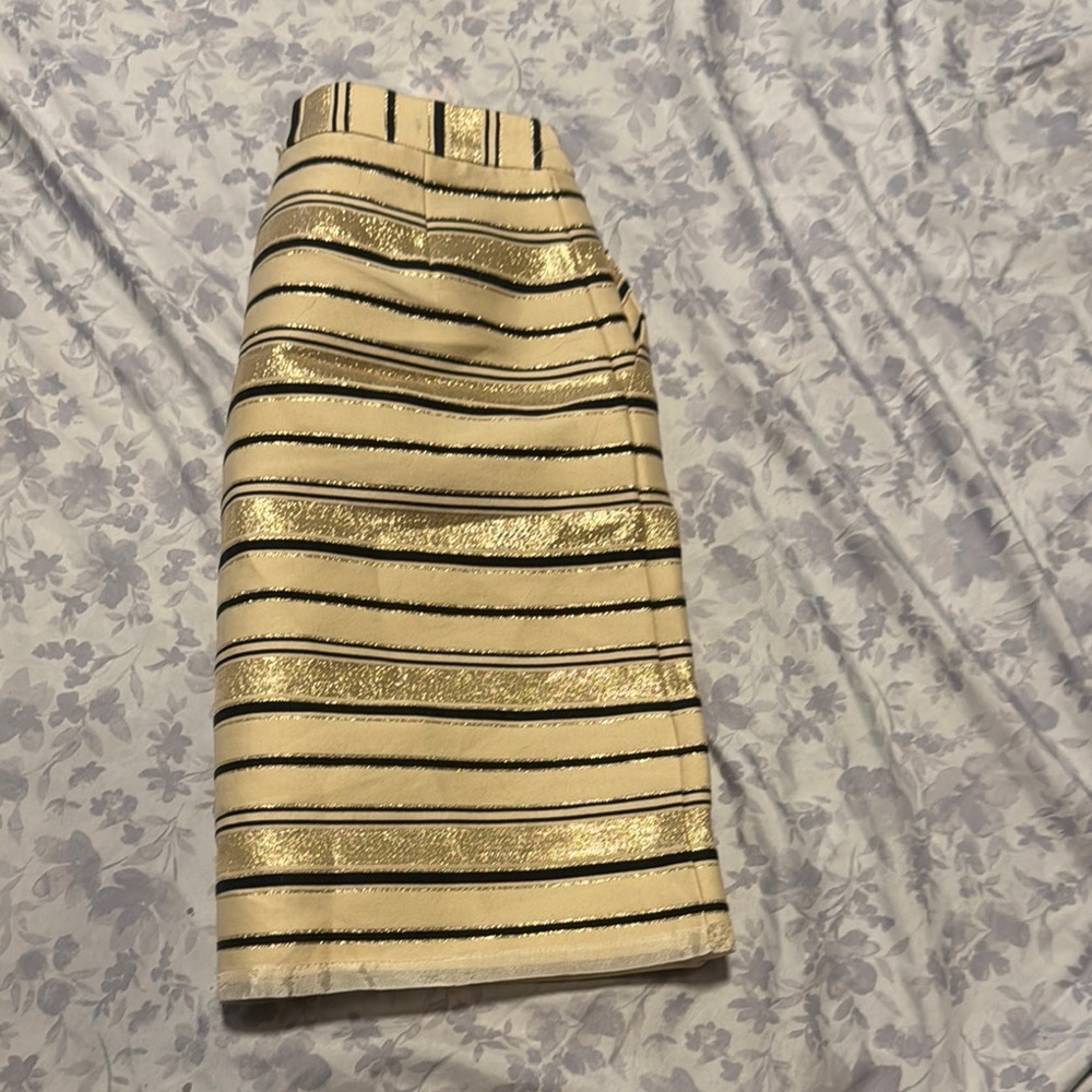Gold and Black Striped Skirt